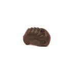 Natural Ganesha Shaligram Stone: Good Luck, Obstacle Remover