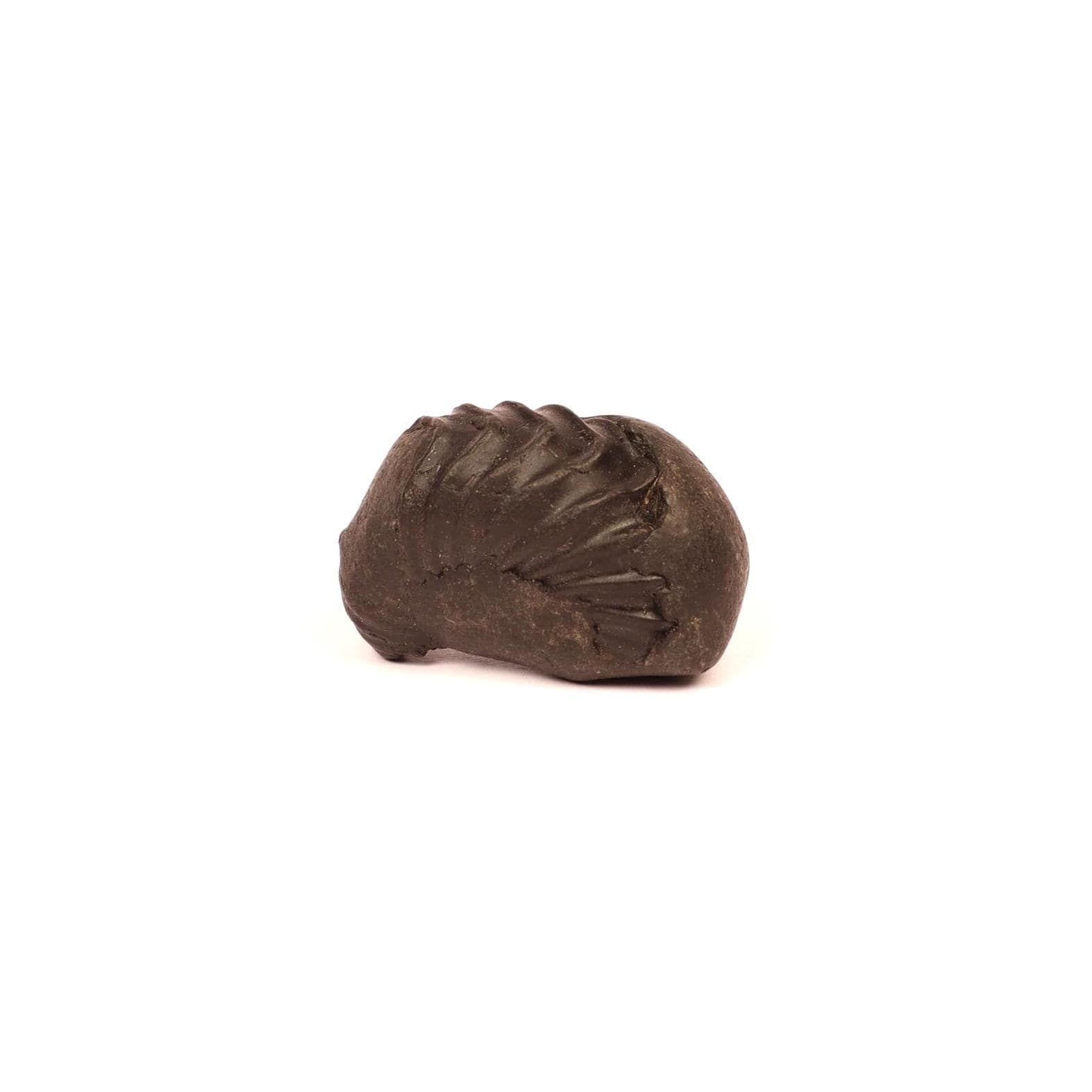 Natural Ganesha Shaligram Stone: Good Luck, Obstacle Remover