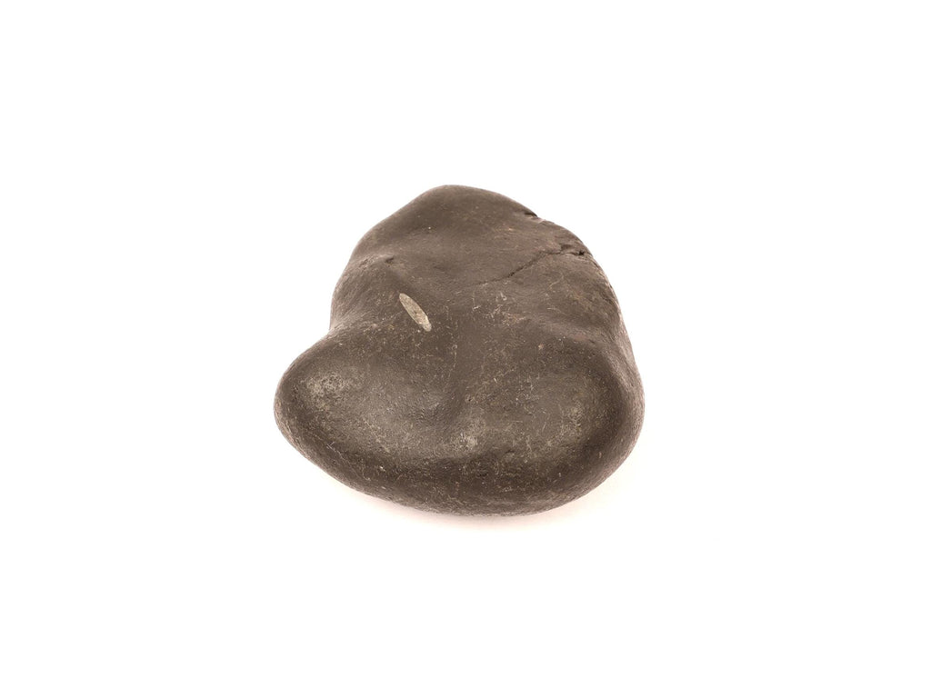 Durga Shakti Hasta Shaligram, Power & Protection Symbol | Authentic Shaligram From Kali Gandaki River