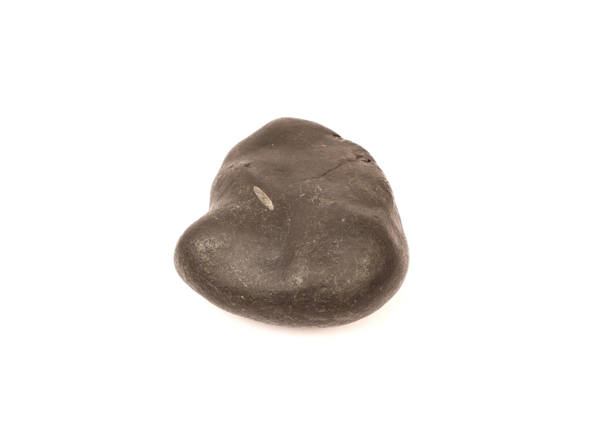 Durga Shakti Hasta Shaligram, Power & Protection Symbol | Authentic Shaligram From Kali Gandaki River