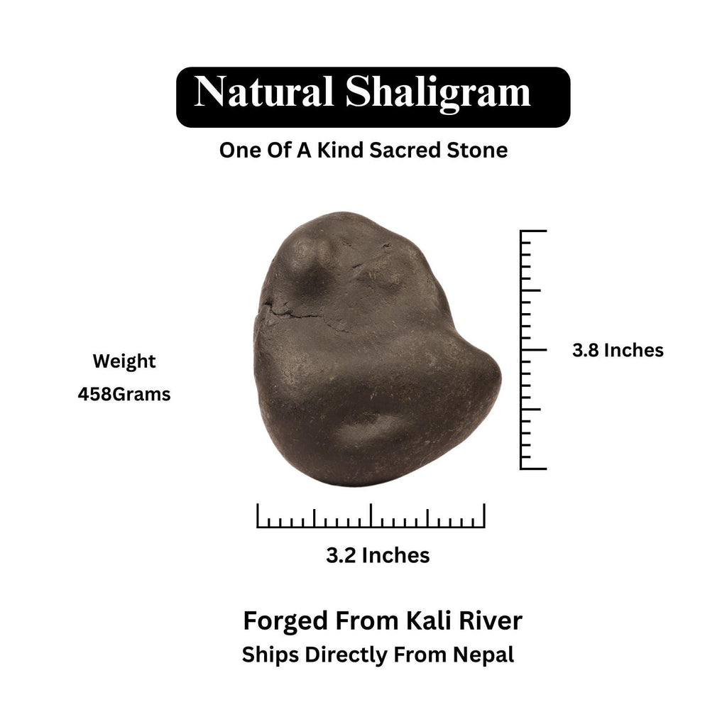 Authentic Kali River Shaligram, Power & Protection Symbol