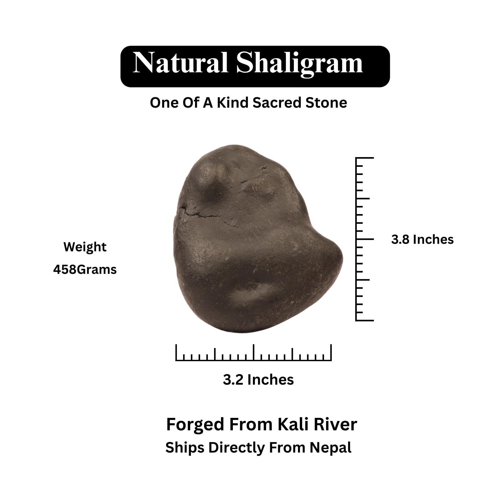 Authentic Kali River Shaligram, Power & Protection Symbol