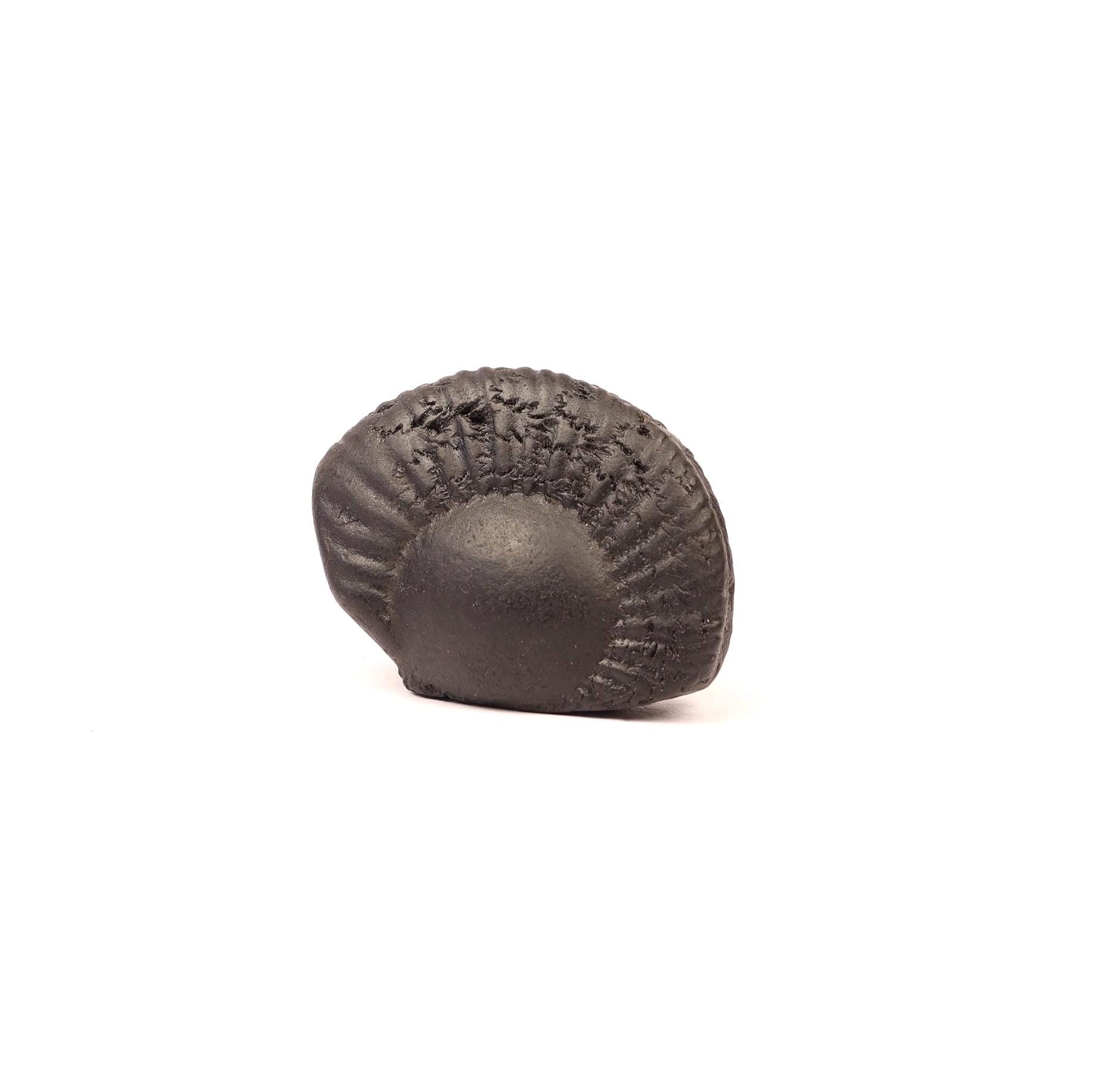 Chakra Mukhi Shaligram, Markings Resembling Radiating Chakras, Linked to Vishnu’s Wheel of Dharma