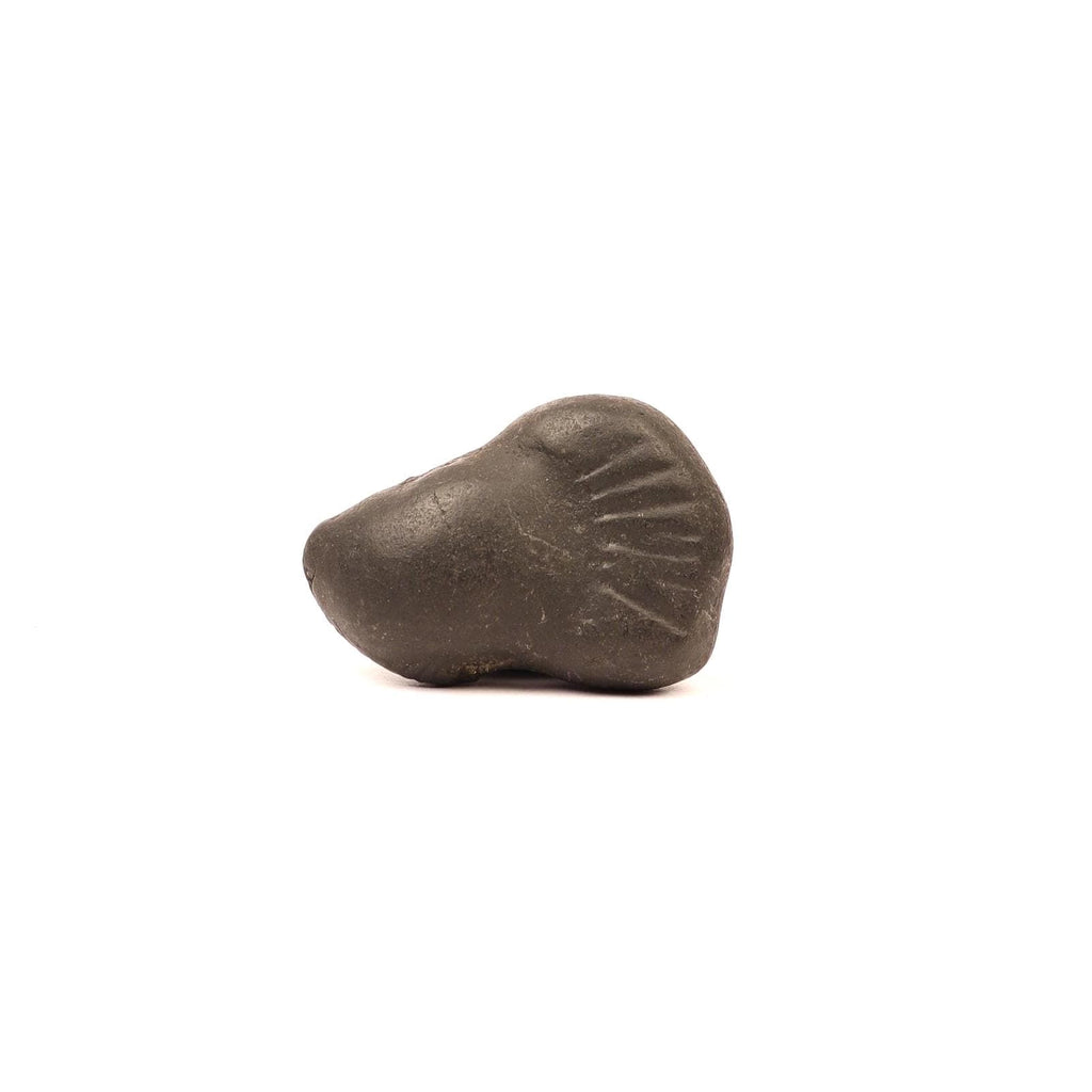 Sacred Shaligram – Birth Power Stone For The Brave And Fearless August Born, Birthday Gift