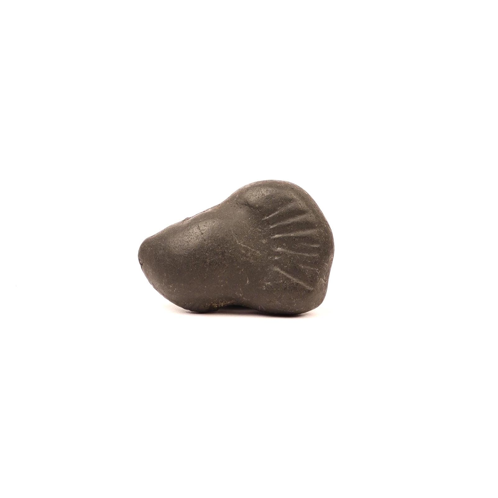 Sacred Shaligram – Birth Power Stone For The Brave And Fearless August Born, Birthday Gift
