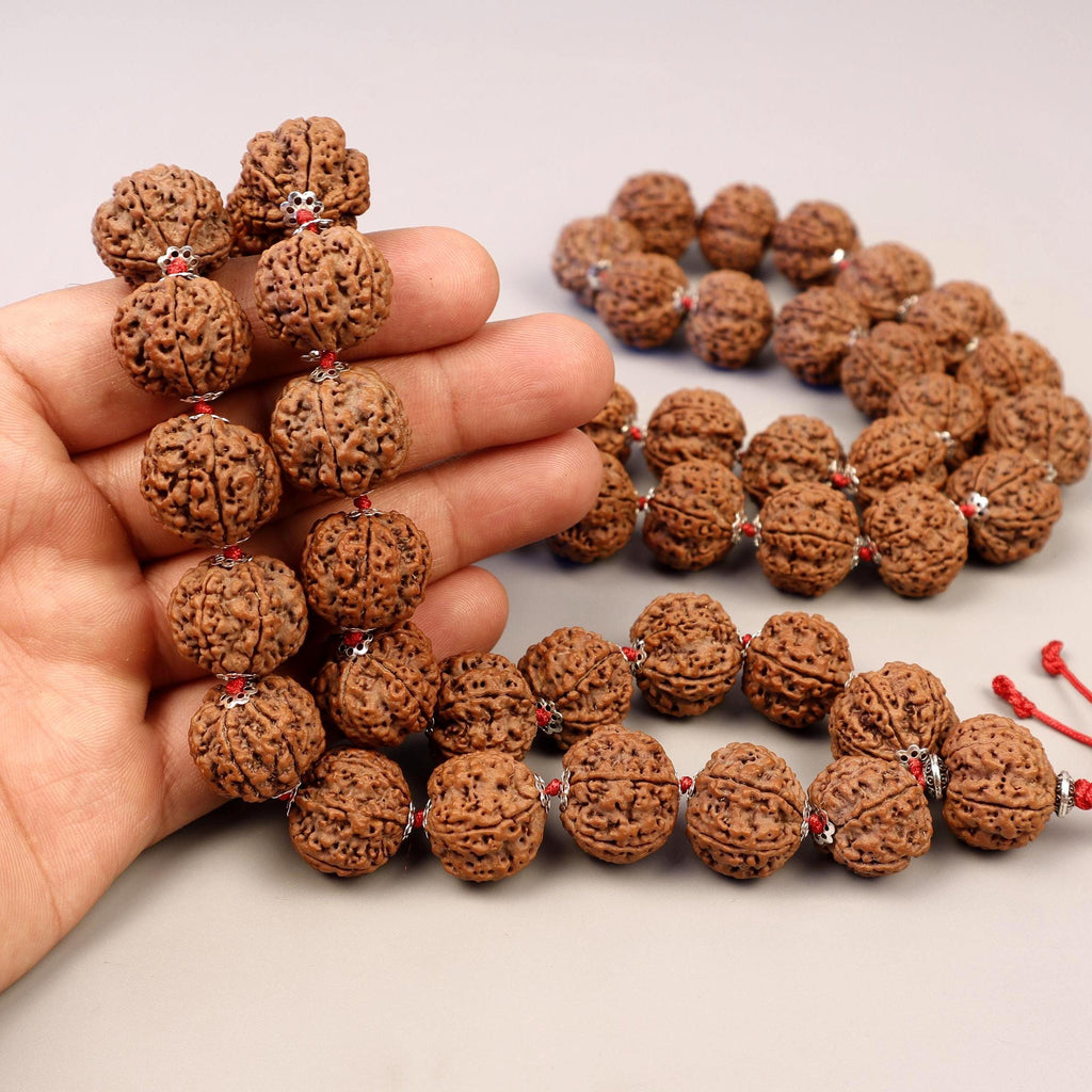 Six Mukhi Rudraksha Mala, Genuine Himalayan Prayer Beads