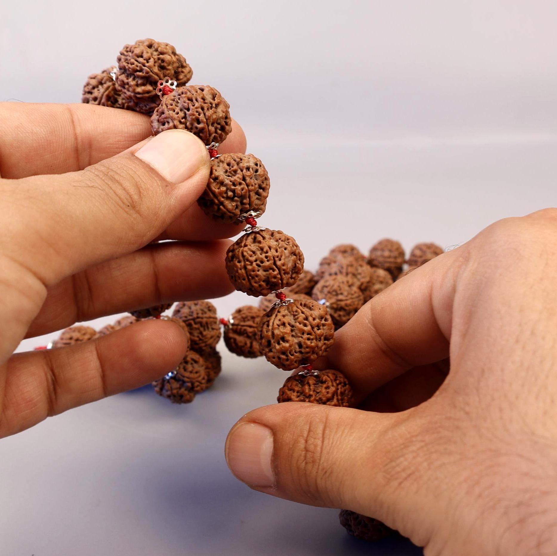 Six Mukhi Rudraksha Mala, Genuine Himalayan Prayer Beads