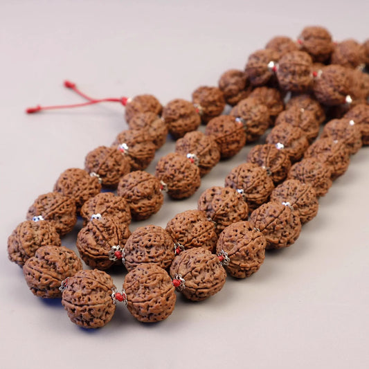 Six Mukhi Rudraksha Mala, Genuine Himalayan Prayer Beads