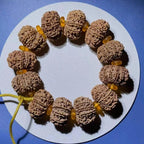9 To 13 Face Raw Rudraksha Beads From Nepal, High Grade 26+ mm Seeds