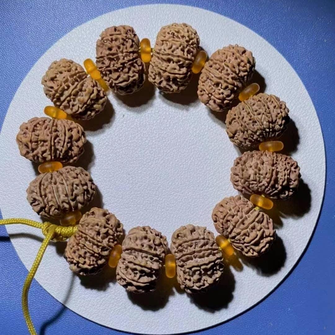 9 To 13 Face Raw Rudraksha Beads From Nepal, High Grade 26+ mm Seeds
