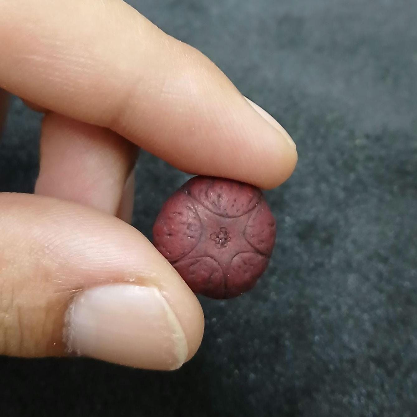 Buddha Chitta Guru Bead: Five Eyes Phoenix Bead (18-20mm, Nepal Sacred Hills)