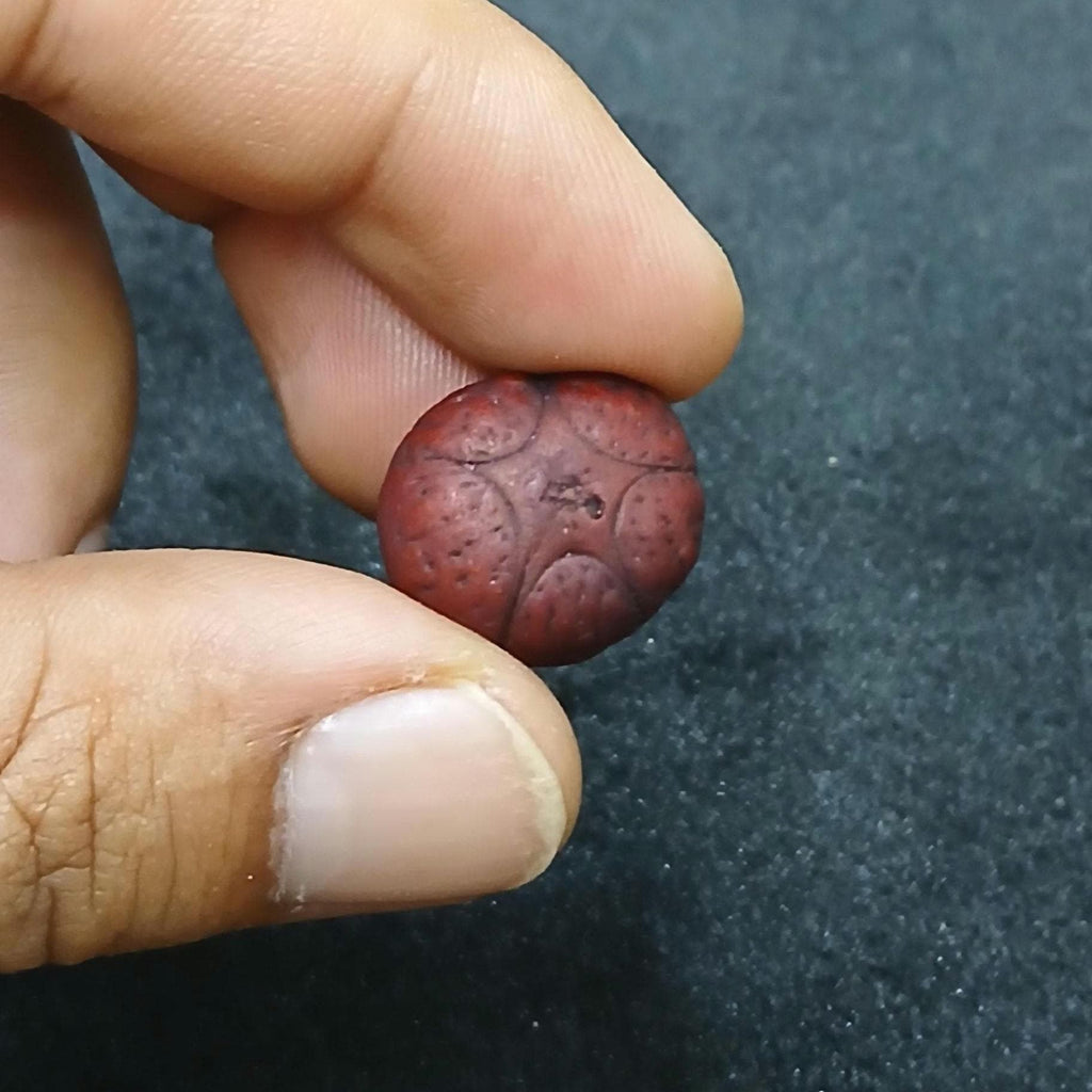 Five Eyes Phoenix Guru Bead 18 to 20mm Rare Large Size