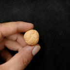 Buddha Chitta Guru Bead: Five Eyes Phoenix Bead (18-20mm, Nepal Sacred Hills)