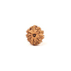 9 Mukhi Ma Dura Rudraksha Bead, Related To Sahasrara Crown Chakra, For Ketu Dosha