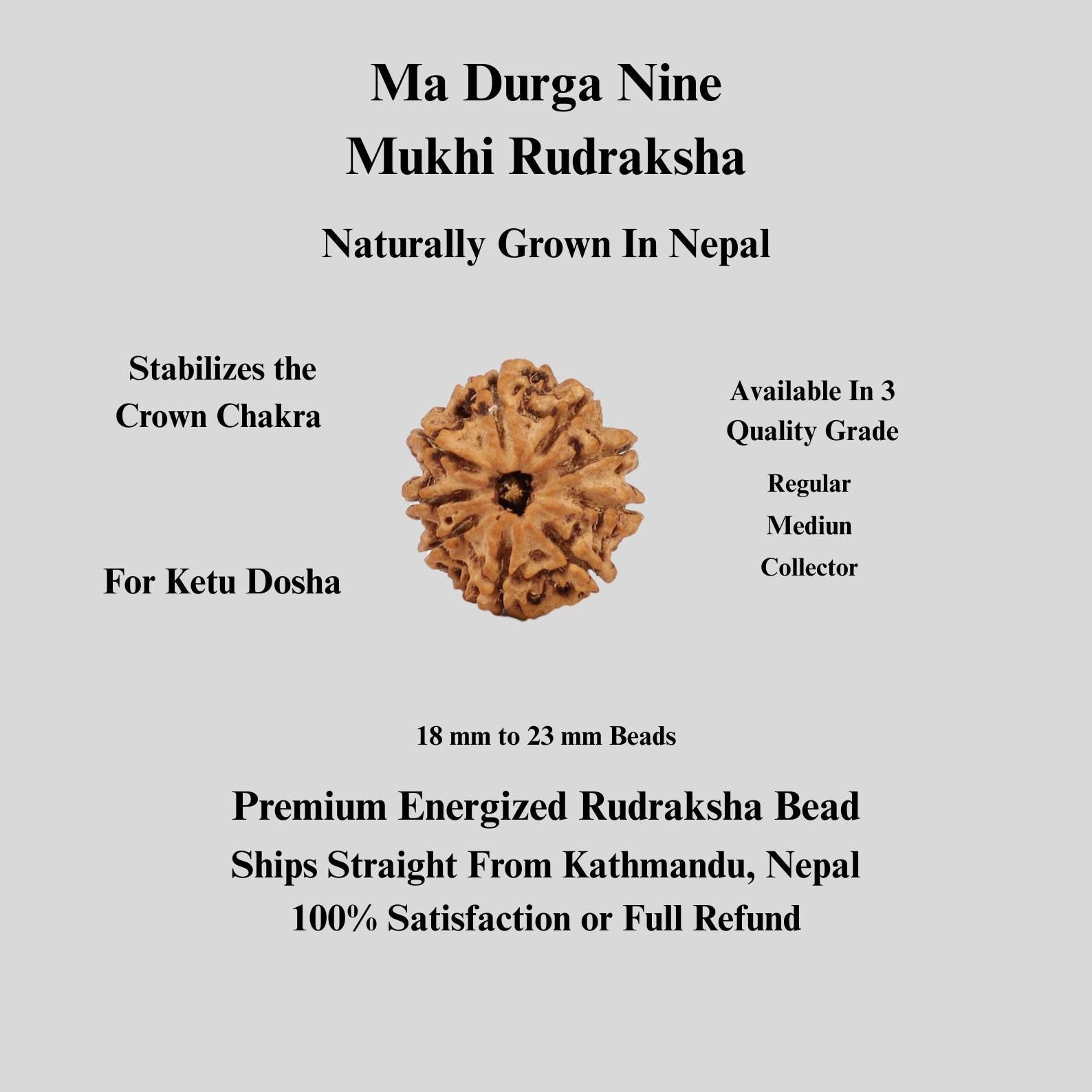 9 Mukhi Ma Dura Rudraksha Bead, Related To Sahasrara Crown Chakra, For Ketu Dosha