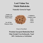 10 Mukhi Rudraksha Bead: Nepal, Lord Vishnu, Navagraha Protection