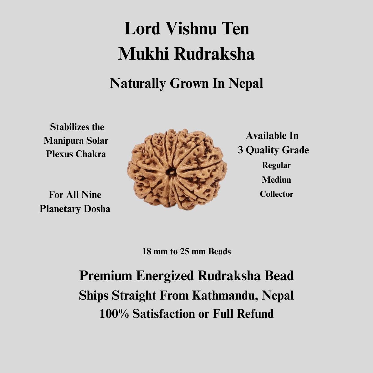 10 Mukhi Rudraksha Bead: Nepal, Lord Vishnu, Navagraha Protection