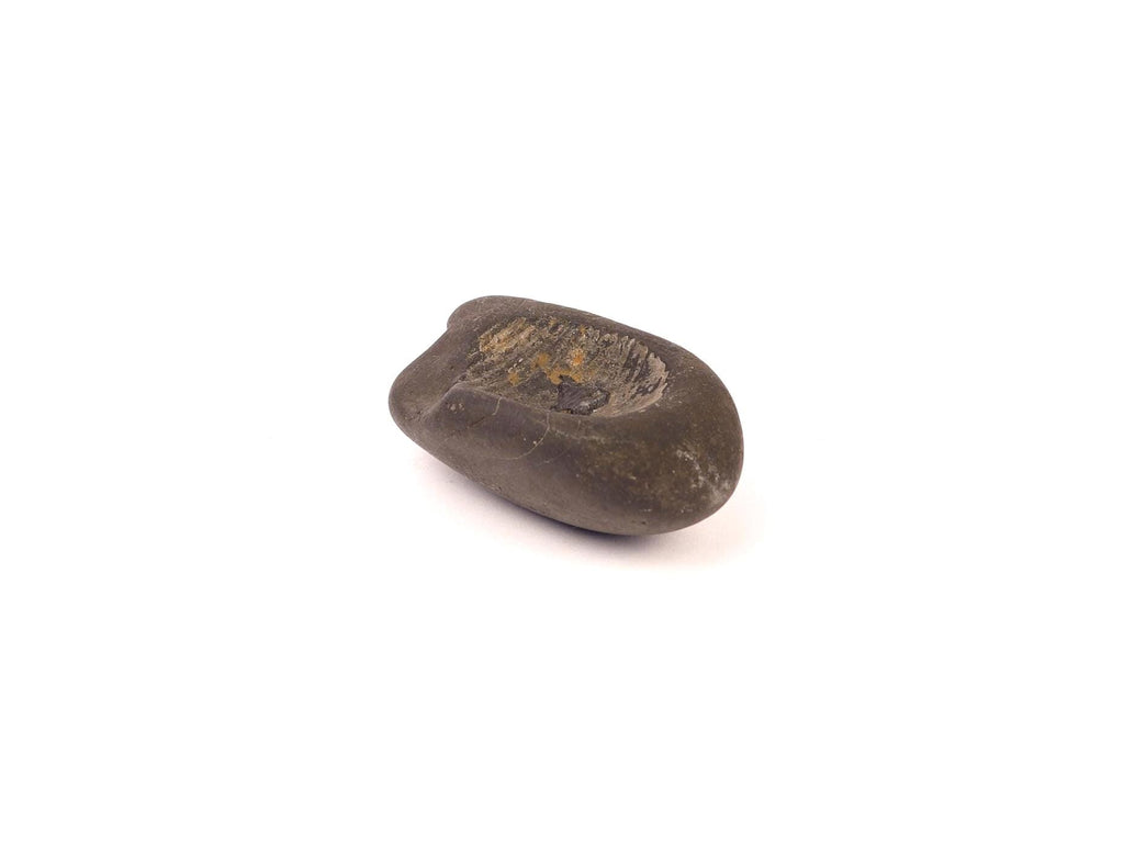 Sacred Buddha Foot Shaligram, Precious Stone From The Birth Place of Buddha