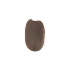 Sacred Buddha Foot Shaligram, Precious Stone From The Birth Place of Buddha