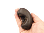 Rare Half Moon Shaligram Stone