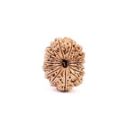 16 Mukhi Rudraksha Bead, Lord Ram And Mahamrityunjaya