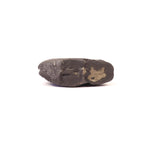 Ardha Nabhi Shila Shaligram | Rare Ardha Nabhi Vishnu Stone for Puja from Gandaki River Nepal, Meditation and Chakra Balance