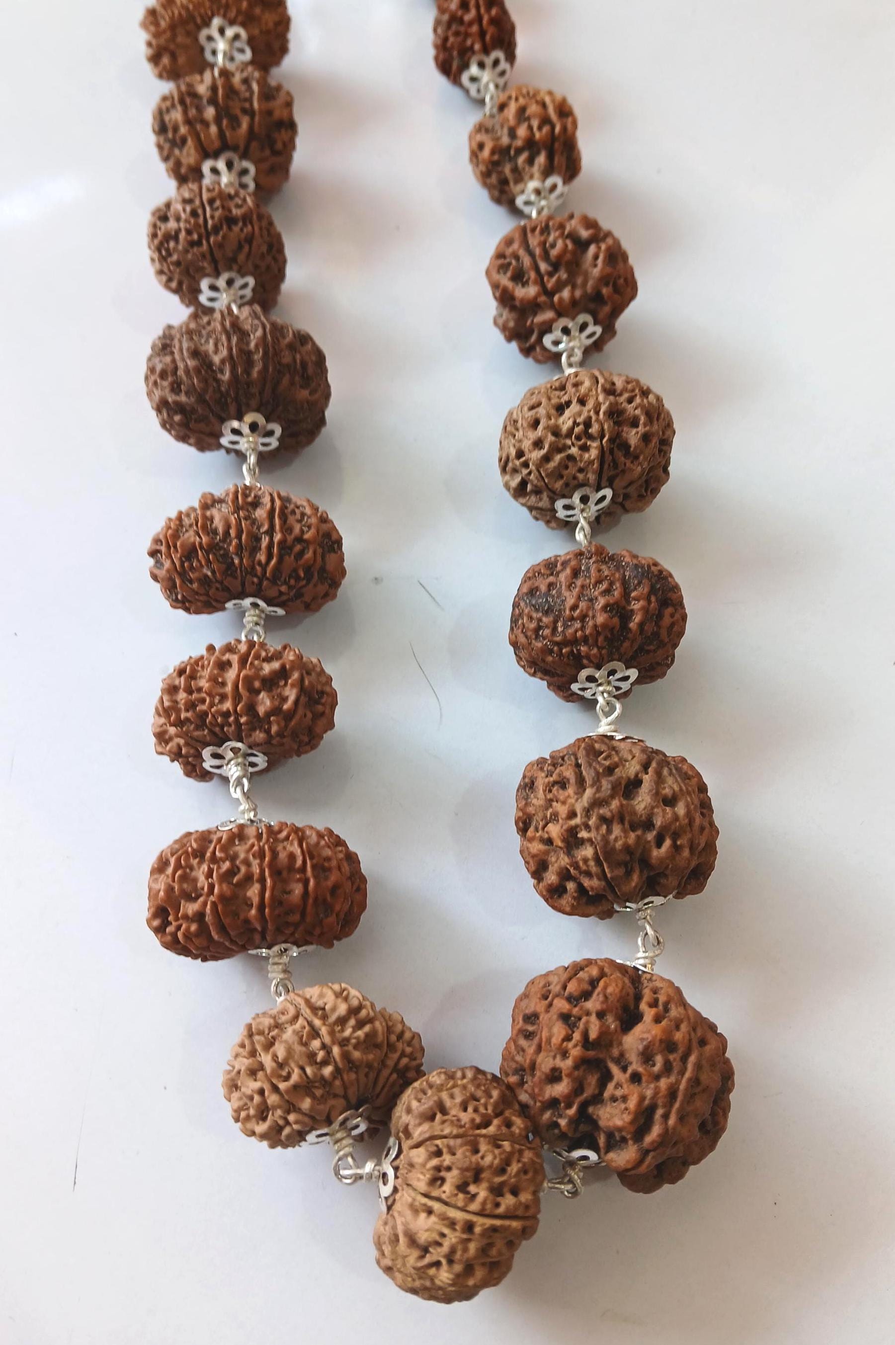 Rudraksha Siddha Mala, 2 to 17 Face Large Nepalese Beads, Made to Order