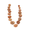 Natural Rudraksha Custom Order For T