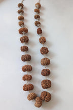 Rudraksha Siddha Mala, 2 to 17 Face Large Nepalese Beads, Made to Order