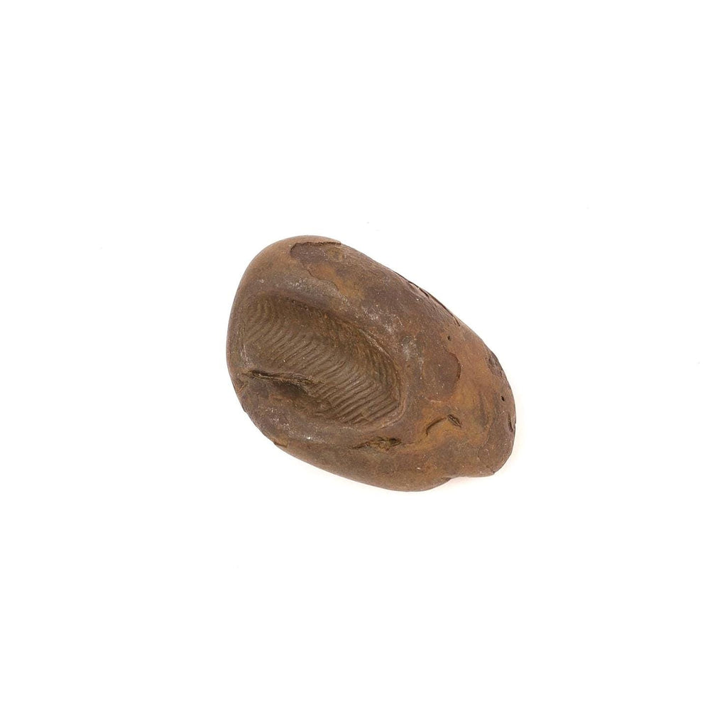 Ananta Naga Shaligram, Rare Serpent Shaped Vishnu Stone