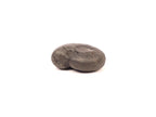 Natural Shaligrama Stone Of Fortune And Good Luck