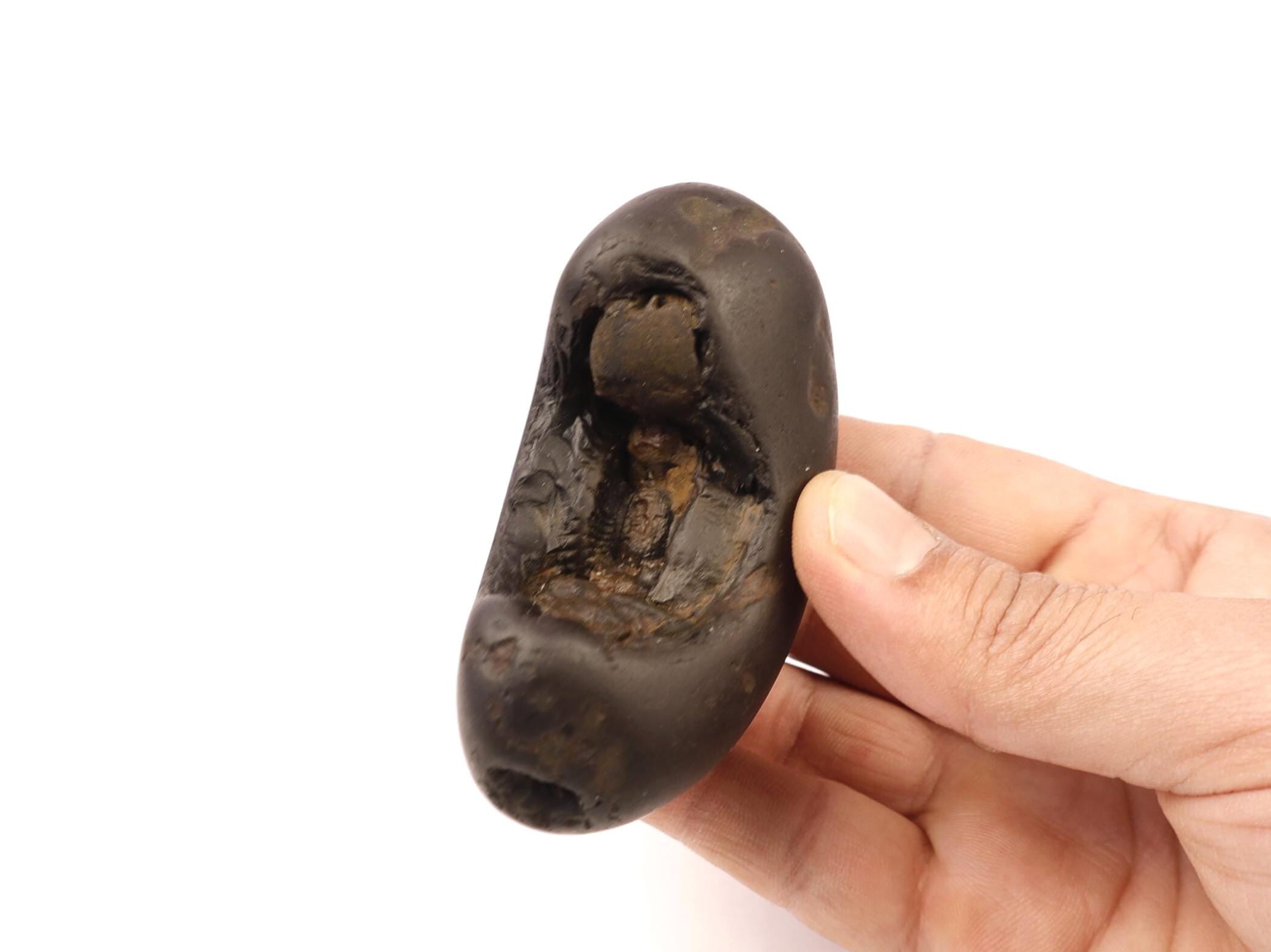 Rare Half Moon Shaligram Stone
