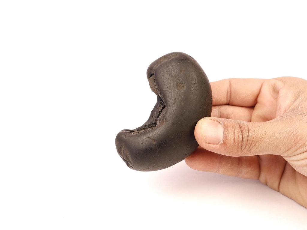 Rare Half Moon Shaligram Stone