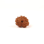 14 Face Natural Nepali Rudraksha Bead, Lord Hanuman