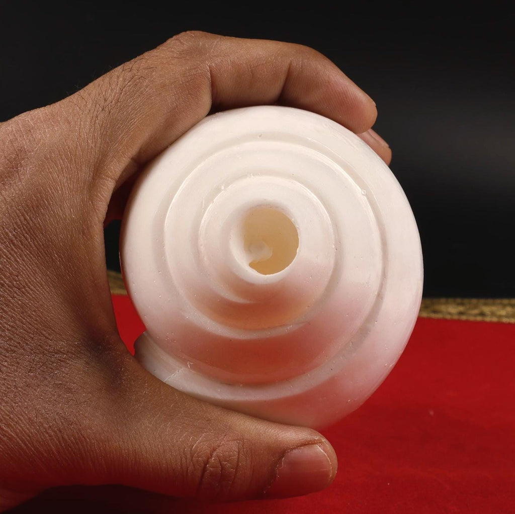Vamavarti Shankh, Left Hand Spiral Sankha For Purifying Environment, Dispel Negativity, The Sound Of Om, Small Size