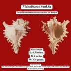 Mahabharat Sankha, Ancient Blowing Conch Shell