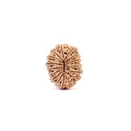 16 Mukhi Rudraksha Bead, Lord Ram And Mahamrityunjaya