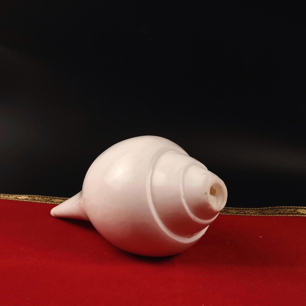 Traditional Blowing Sankha, Large Natural Conch Shell For Blowing, Practices & Sacred Sound