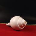 Traditional Blowing Sankha, Large Natural Conch Shell For Blowing, Practices & Sacred Sound