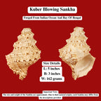 Kuber Shankh Symbol Of Lord Kuber, The God Of Wealth And Prosperity