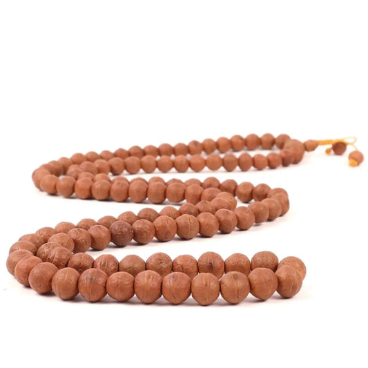 Authentic brown Rudraksha beads mala necklace on a white background