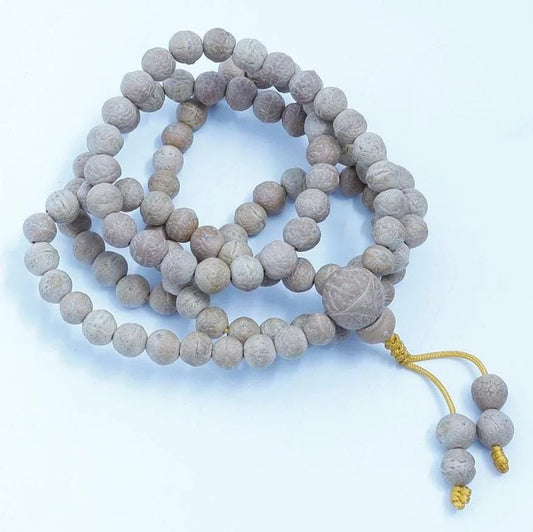 A+ Grade Raw Bodhi Seed Mala, Buddha Chitta Phoenix Eye Tibetan Prayer Beads