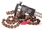Rudraksha Mala, Aged 12 to 13 mm Shiva Prayer Beads