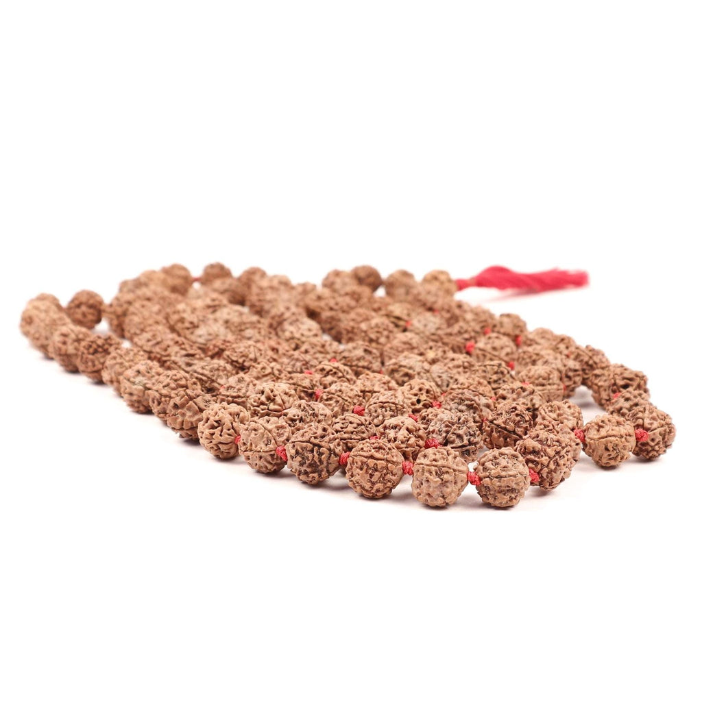 Pasupati Shiva Rudraksha Japa Mala