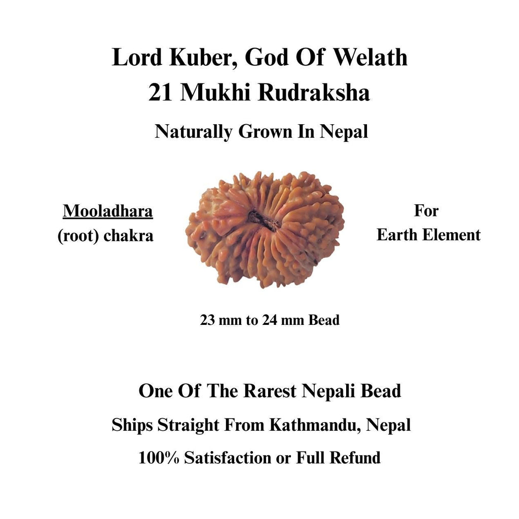 21 Mukhi Nepali Rudraksha Bead