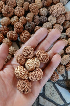 Ma Durga 9 Mukhi Rudraksha Mala, 54+1 Beads Made To Order