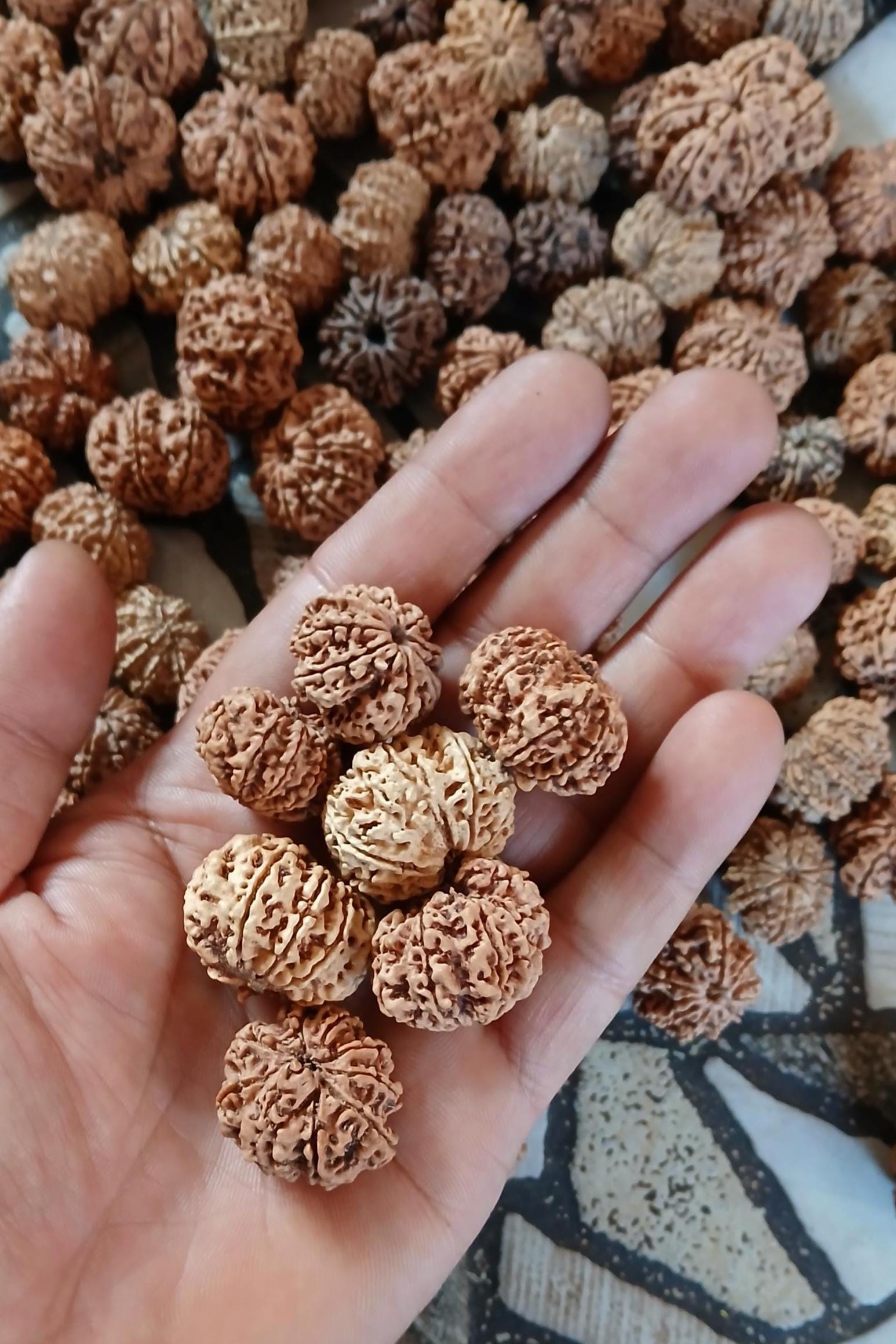 Ma Durga 9 Mukhi Rudraksha Mala, 54+1 Beads Made To Order