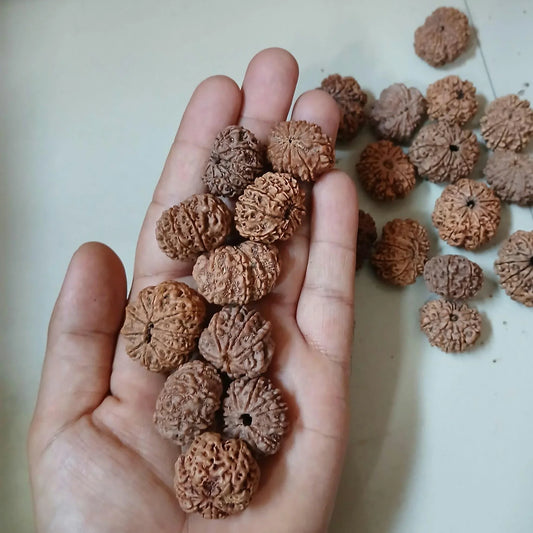 Ma Durga 9 Mukhi Rudraksha Mala, 54+1 Beads Made To Order