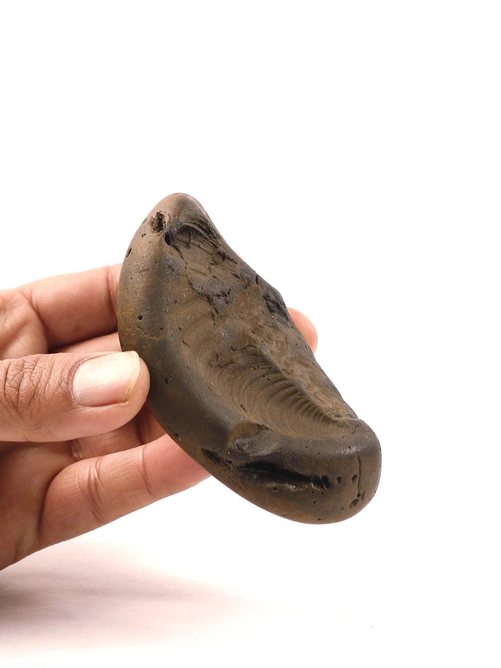 Krishna's FootPrint Shaligram, Natural Footprint Formation Shaligram Fossil, Must Have Shaligrama For Krishna Temple