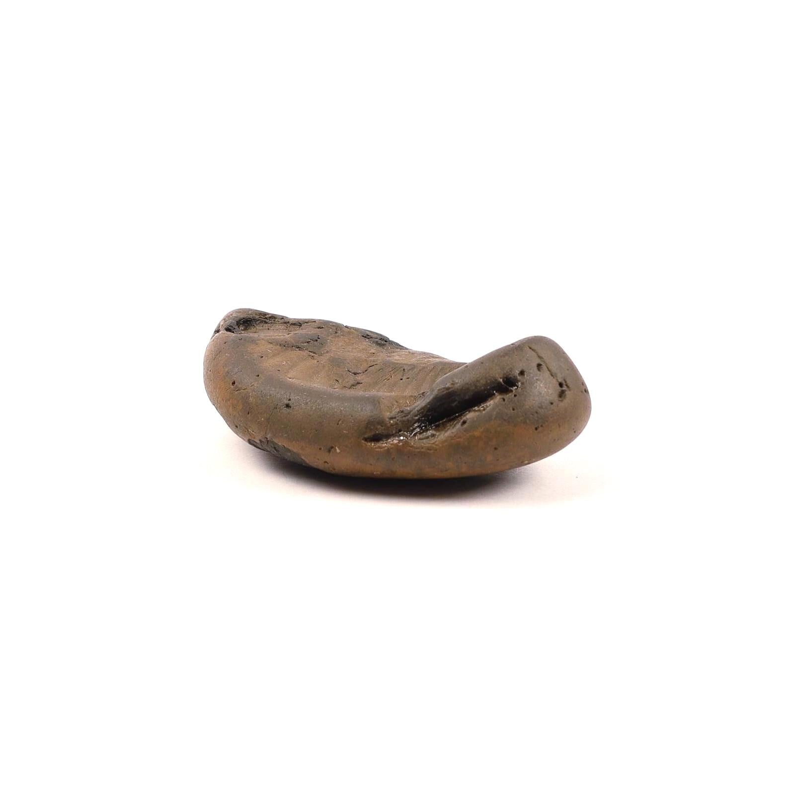 Krishna's FootPrint Shaligram, Natural Footprint Formation Shaligram Fossil, Must Have Shaligrama For Krishna Temple